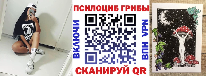 магазин    omg зеркало  Псилоцибиновые грибы мицелий  Староминская 