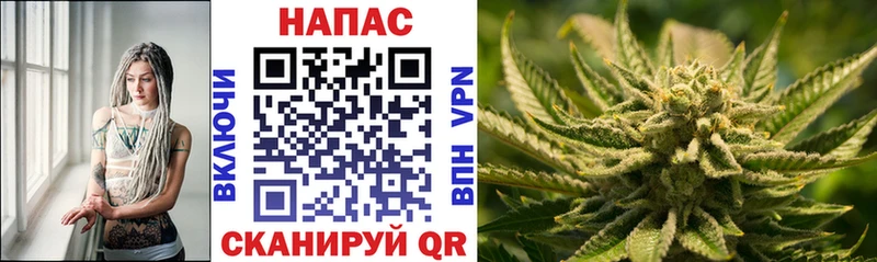 Шишки марихуана Ganja  ОМГ ОМГ маркетплейс  Староминская 